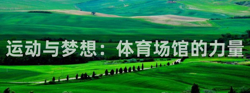 球速体育吧：运动与梦想：体育场馆的力量