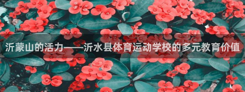 球速体育吧