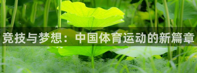 球速体育集团