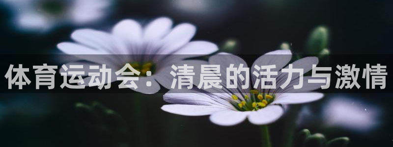 球速体育app官方点b855’in