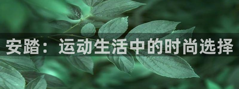 球速体育app下载官方：安踏：运动生活中的时尚选择