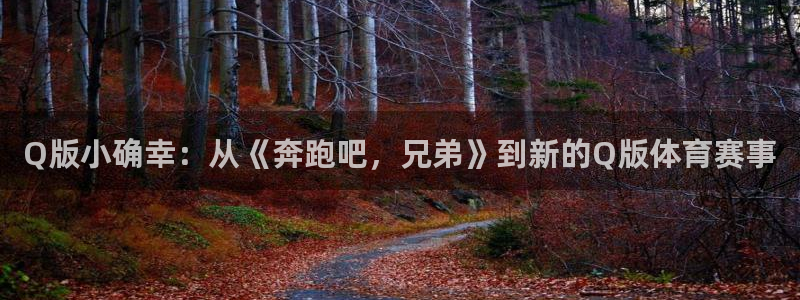 球速体育网址是多少：Q版小确幸：从《奔跑吧，兄弟》到新的Q版体育赛事