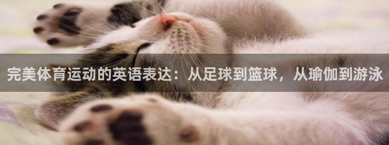 球速体育平台：完美体育运动的英语表达：从足球到篮球，从瑜伽到游泳
